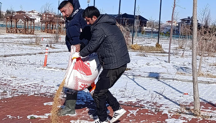 Kulu Belediyesi can dostları unutmadı