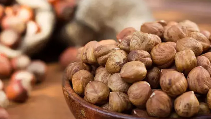 NEÜ’den teknolojik atılım: Fındık küspesi yeniden ekonomiye kazandırılacak