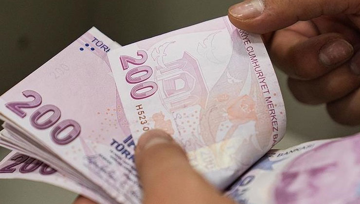 Ocak ayı Sosyal ve Ekonomik Destek ödemeleri hesaplara yatırıldı