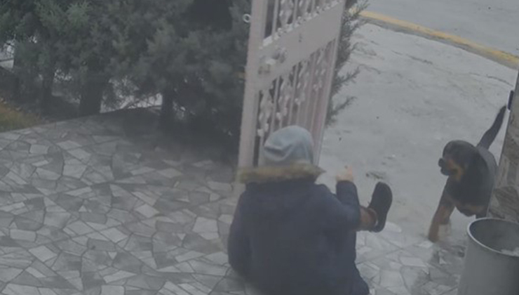 Köpeklerin saldırısına uğrayan kadını kurtaran Güven: “Biz olmasaydık kadının mücadelesi zor olacaktı”