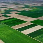 Konya Ovasının geleceği bilinçli tarımda