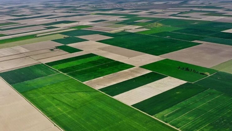 Konya Ovasının geleceği bilinçli tarımda