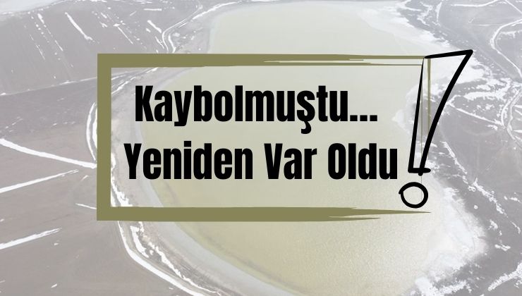 Konya’da bu göl 4 yıl sonra hayata geri döndü