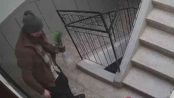 Konya’da ilginç hırsızlık: Ayakkabıları beğenmeyince çiçeği aldı