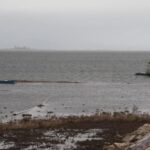 Konya’da kuraklıktan sonra gelen can suyu