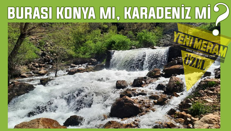 Konya’daki bu küçük Karadeniz görenleri şaşırtıyor!