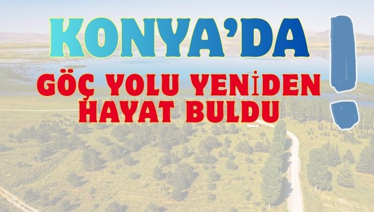 Konya’daki göç rotasının kritik noktası yeniden suya kavuştu