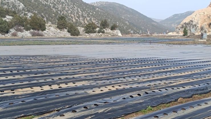 Konya’nın taşkın yaşanan bu ovasında inceleme