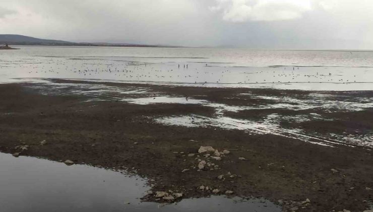 Kuraklığın ardından gelen yağışlar Konya’da umut oldu
