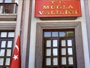 Muğla Valiliği, Milas’ta zeytin ağaçlarının kesildiği iddiası üzerine inceleme başlattı