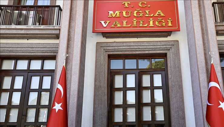 Muğla Valiliği, Milas’ta zeytin ağaçlarının kesildiği iddiası üzerine inceleme başlattı