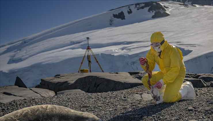 Türk bilim insanları Antarktika’daki araştırmalarıyla sağlık ve tarıma ışık tutuyor