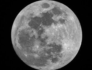 WSJ: Elon Musk’ın SpaceX şirketi, Ay yolculuğuna öncelik vermek için Mars görevini erteledi