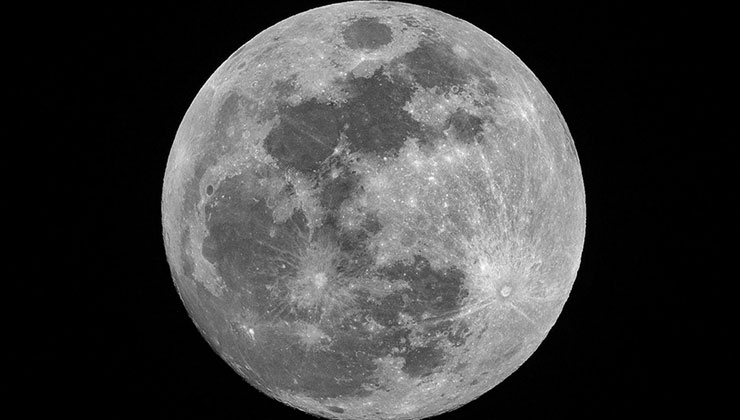 WSJ: Elon Musk’ın SpaceX şirketi, Ay yolculuğuna öncelik vermek için Mars görevini erteledi