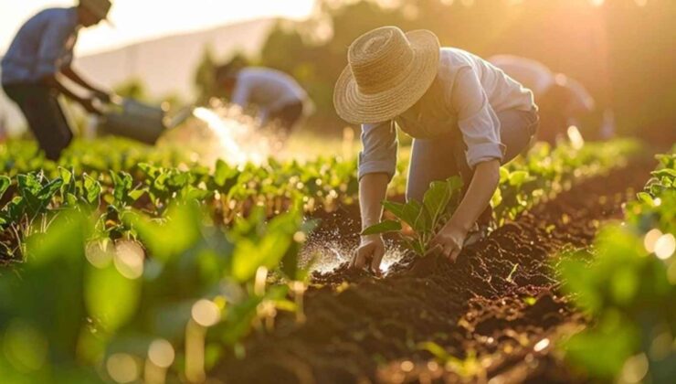 Gübre ham maddesi üre için ithalatta gümrük vergisi sıfırlandı