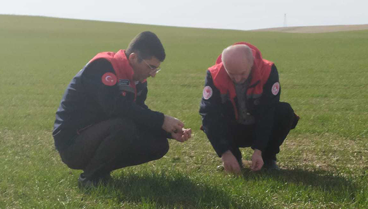 İlçe tarım müdürlüğü personeli sahada