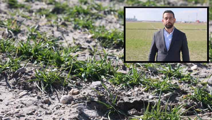 Konya’da çiftçilere kritik uyarı: Tehlike kapıda!