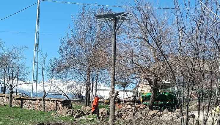 Konya’da leylekler için örnek davranış