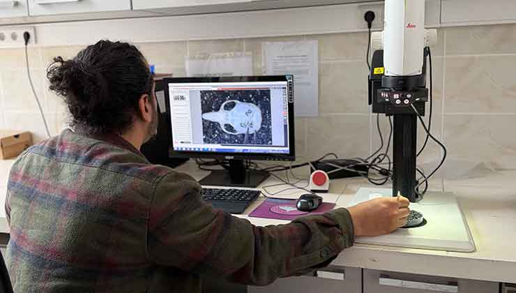 Konya’daki endemik tür mercek altında!