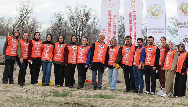Konya’nın ilçesinde erozyon sahasına fidan dikildi
