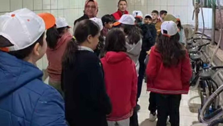 Türkiye’nin bilinçli çiftçileri Konya’da yetişiyor