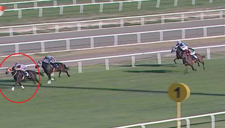 yarış atı kavurma yapılan iş insanına da 132 bin TL ceza kesildi